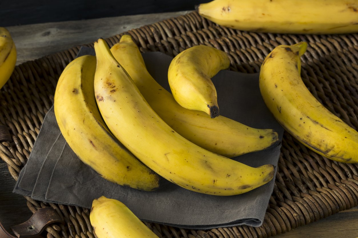 Quantas calorias tem uma banana? Entenda se a fruta engorda