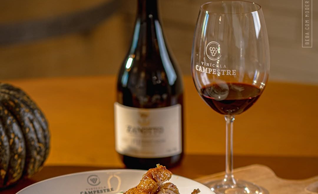 Reprodução/Instagram @vinicolacampestre - Imagem de vinho e refeição do restaurante na Vinícola Campestre