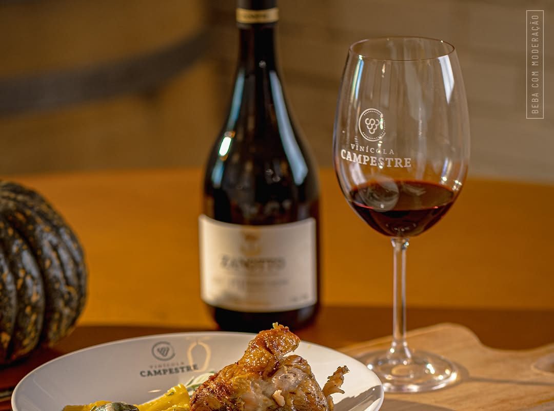 Brasil tem sete vinhos premiados no VinAgora 2025, na Hungria; veja a lista
