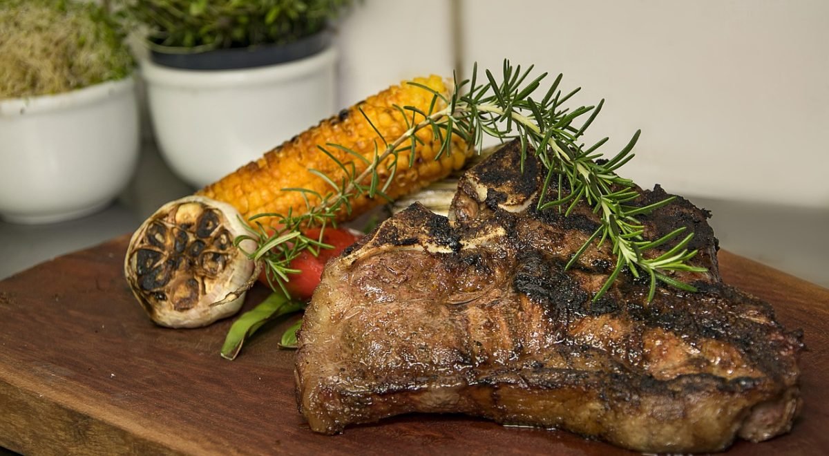 Imagem ilustrativa de charque após ser assada na brasa - Pixabay