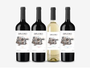 Grupo Wine lança Dínamo Wines, marca autoral de vinhos chilenos