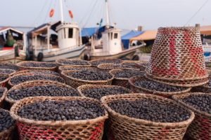 O melhor da culinária paraense em 3 pratos