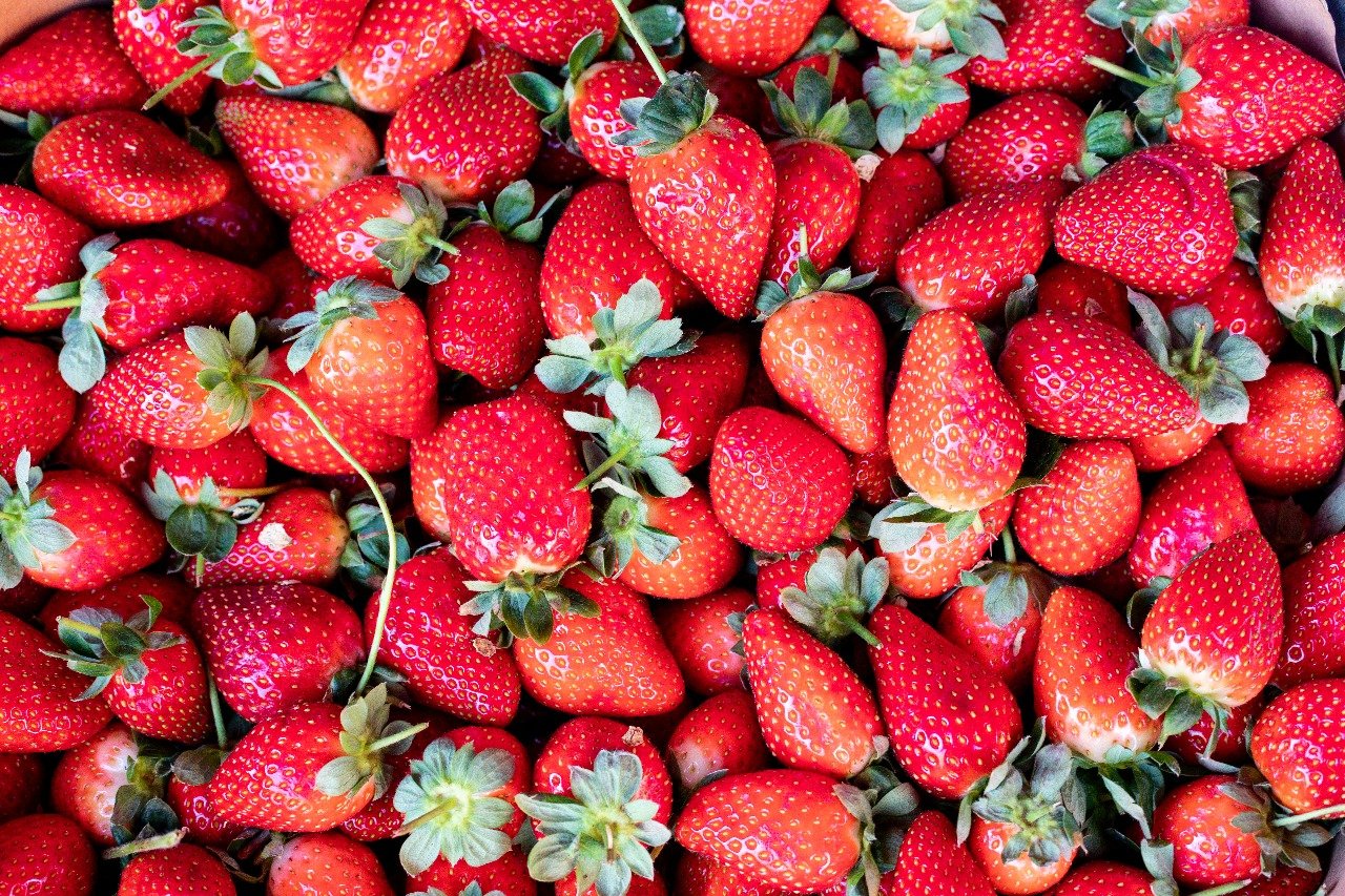 Gastronomia será uma das atrações do 3º Festival do Morango em Brejo da Madre de Deus
