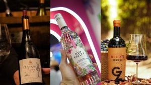 Vinhos de Pernambuco e Bahia conquistam medalhas no Brasil Selection 2025