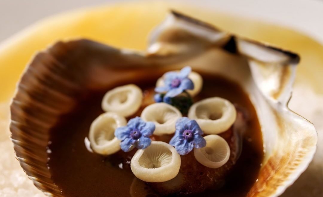 Reprodução/Instagram @tuju_sp - Imagem de Vieira com Tucupi XO e Porco Carunch do TUJU, melhor restaurante do Brasil