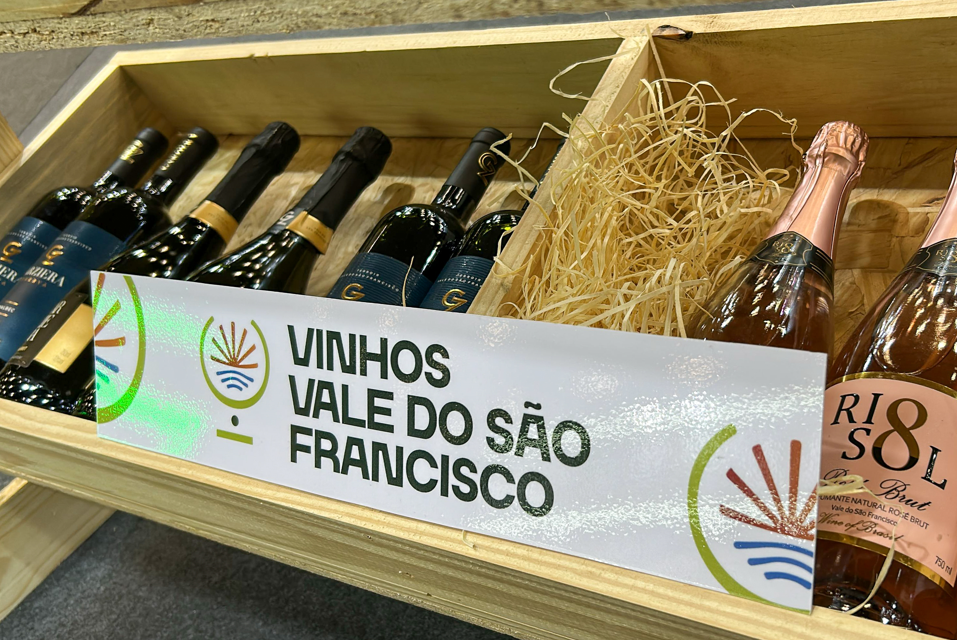 Do sertão ao mercado global: vinícolas pernambucanas avançam em feiras e festivais