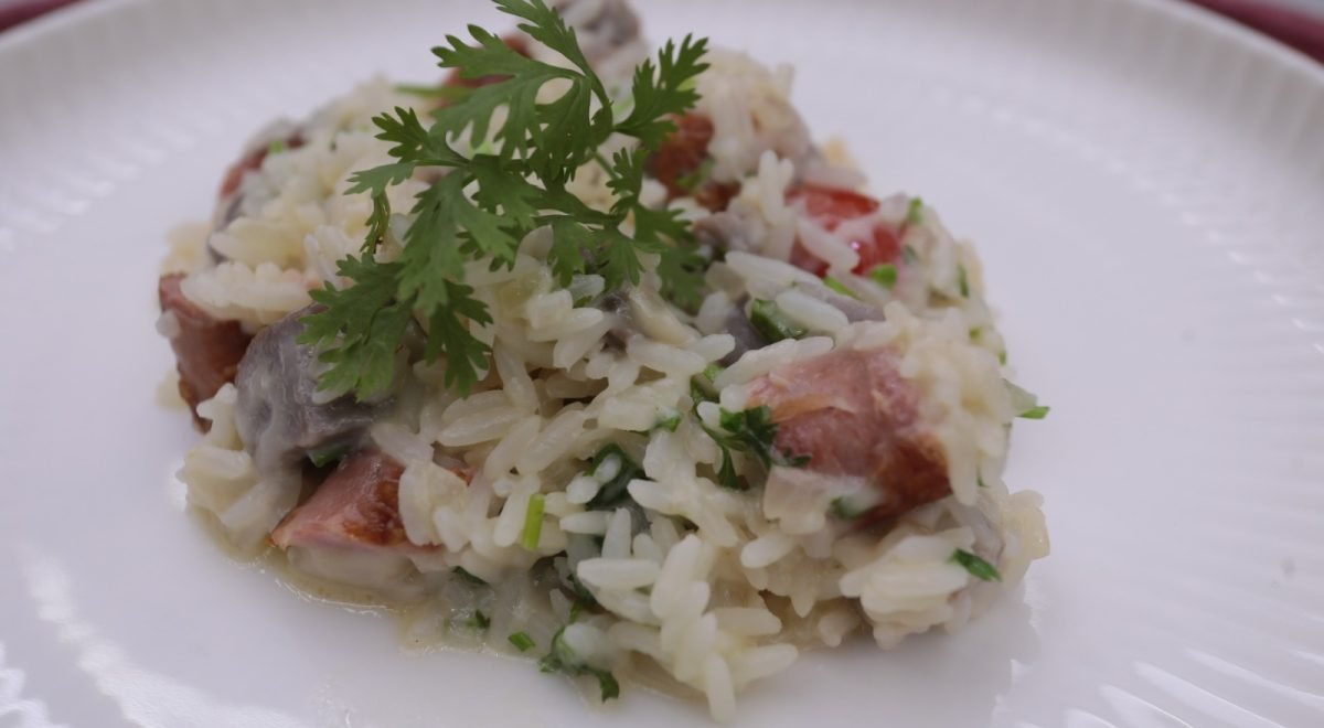 Arroz carreteiro/ TV Jornal - Arroz carreteiro/ TV Jornal