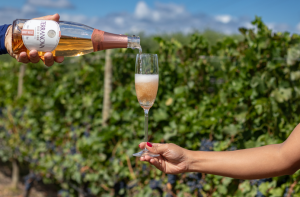 Vinícolas do Vale do São Francisco apresentam lançamentos e recebem premiações nacionais